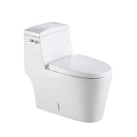 T-118 One Piece Washroom Tornado Dual Flush Uf Seat Cover Cheap Toilet