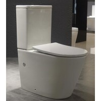 White Top Dual Flush 3/6 Liter Two-Pcs Wash Down P-trap 180mm/S-250mm Australia design toilet SA-2138