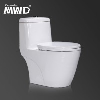 Dual Flush Elongated One Piece Toilet with Soft Closing Seat Comfort Height Water Sense Modern design